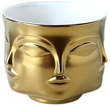 Unique Mult-face planter