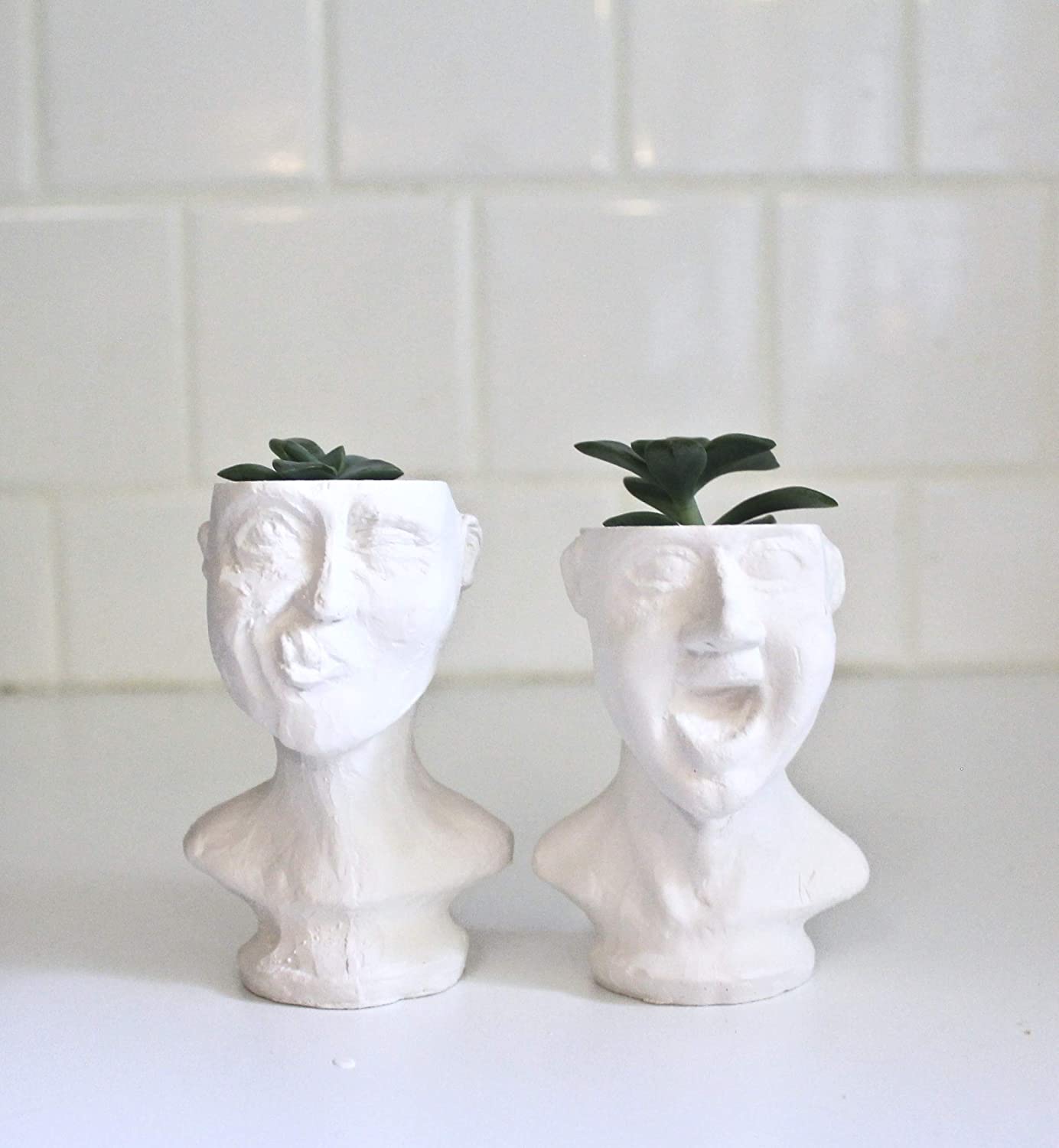 Whimsical Men Face Planters