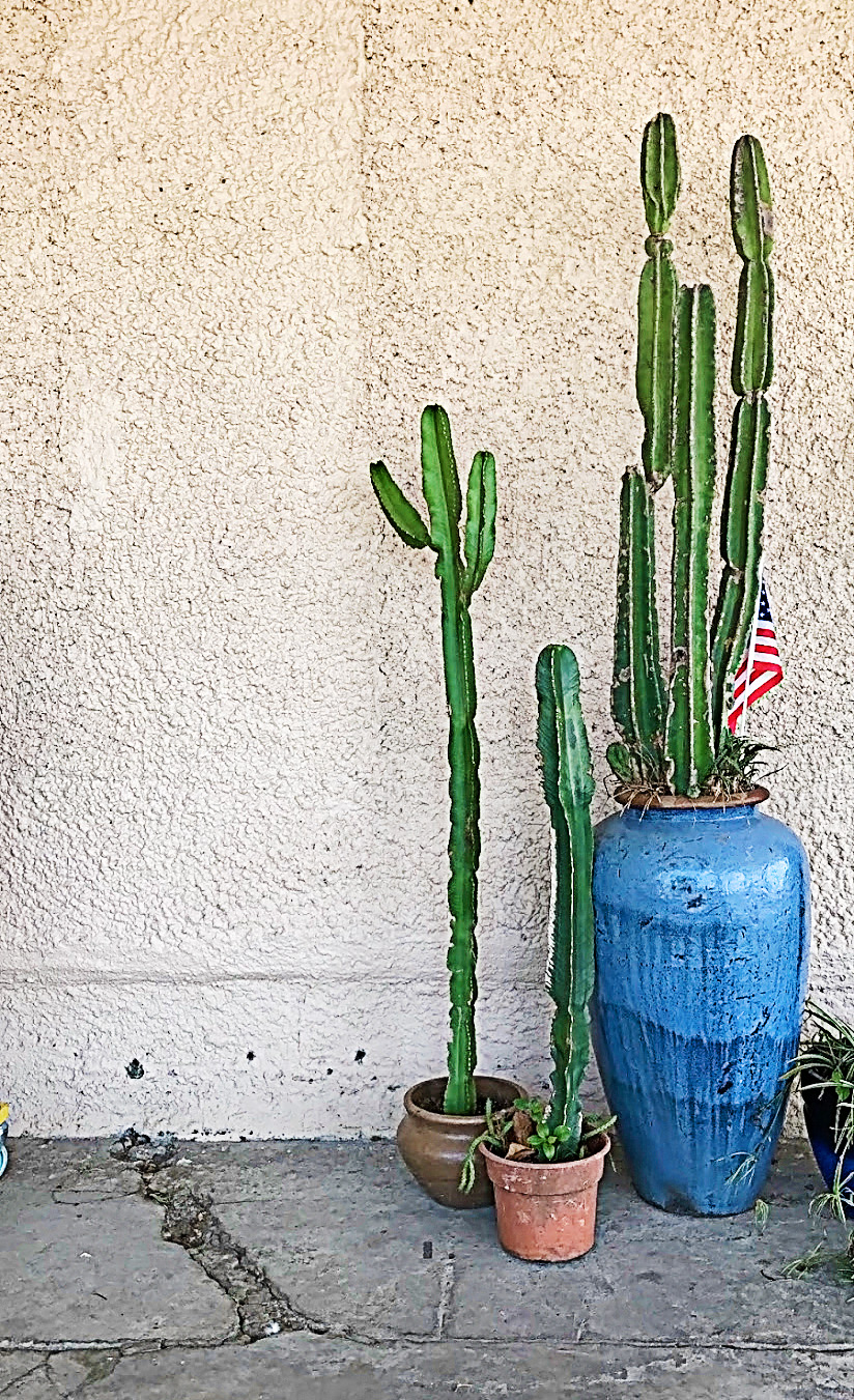 How to Create your own stock images