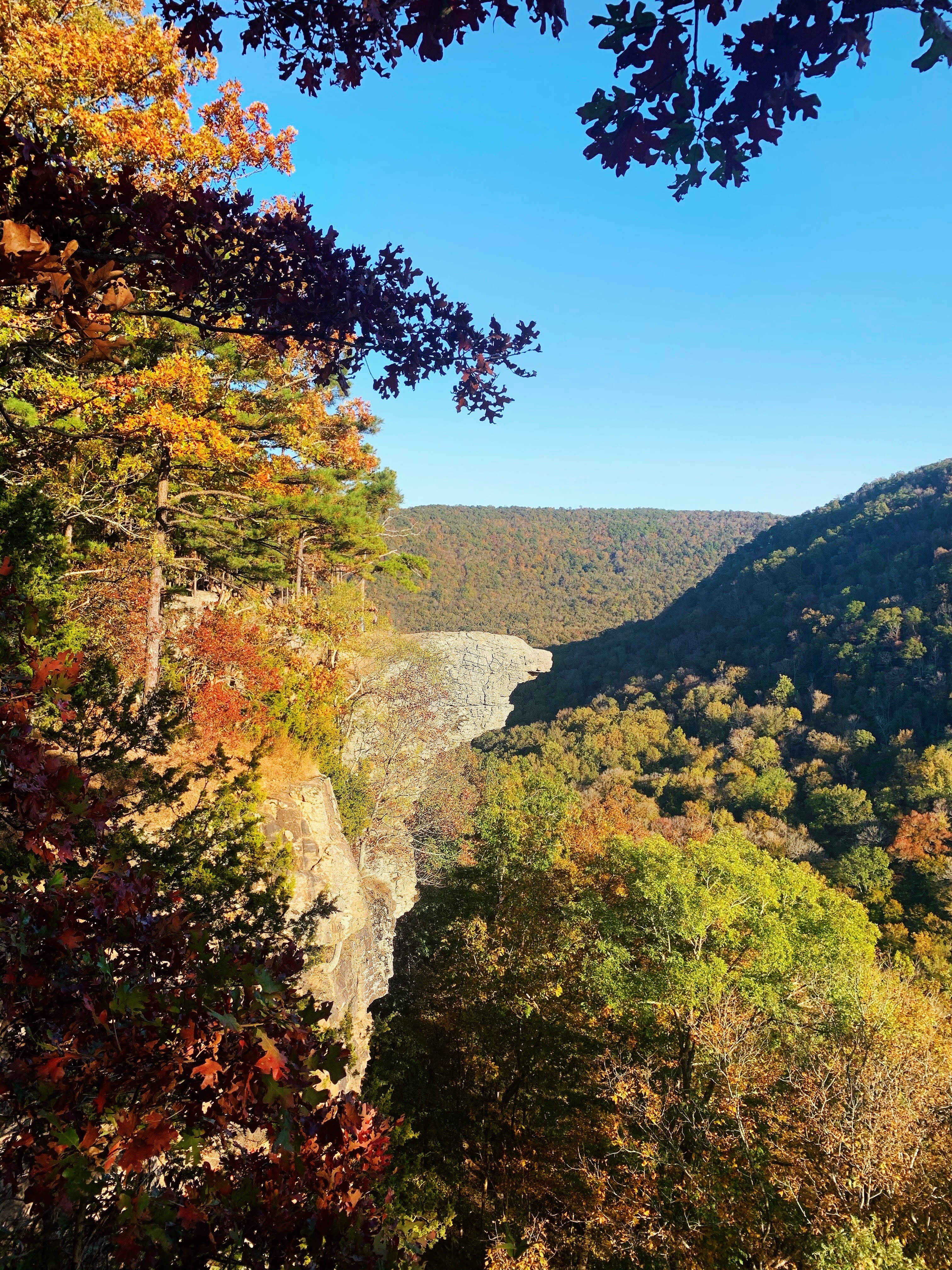 Hawksbill crag whitaker point