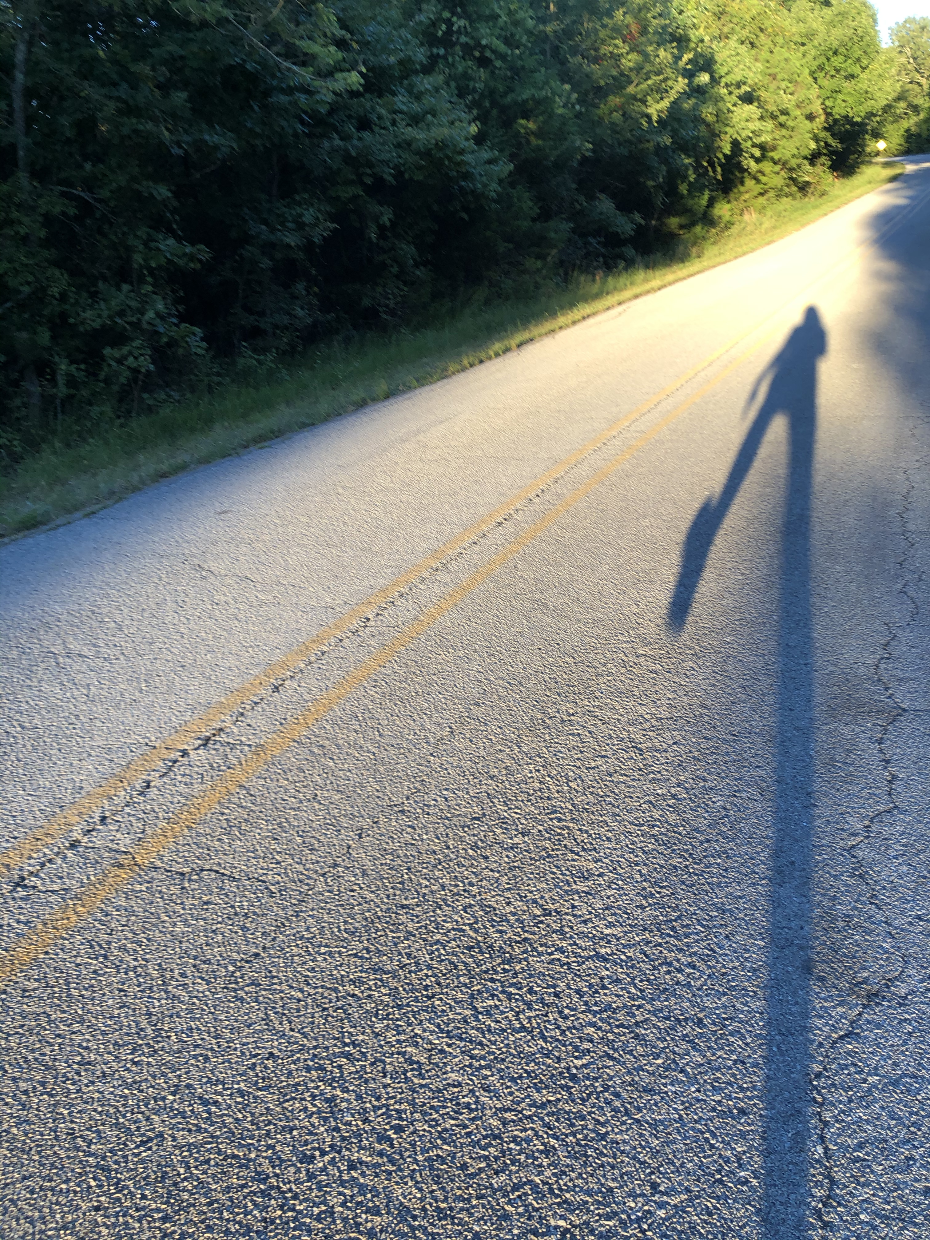 walking through midlife