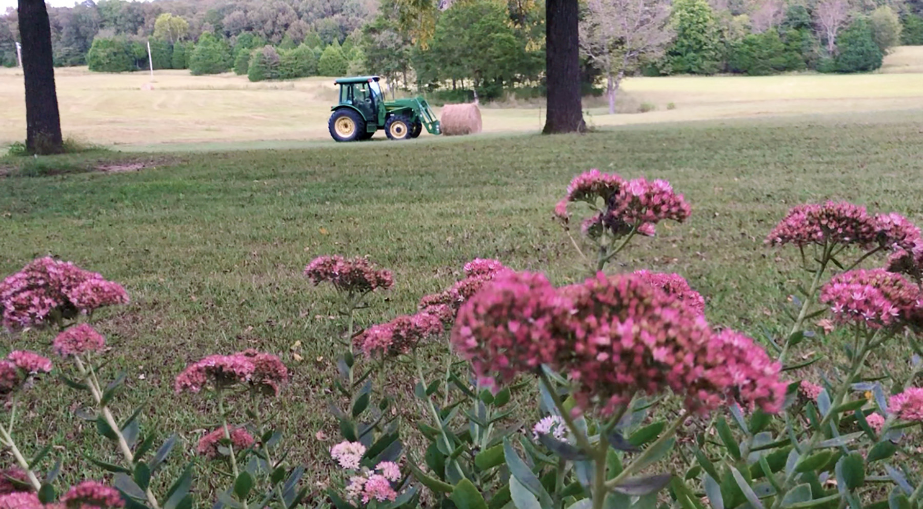 capturing everyday moments from my front door