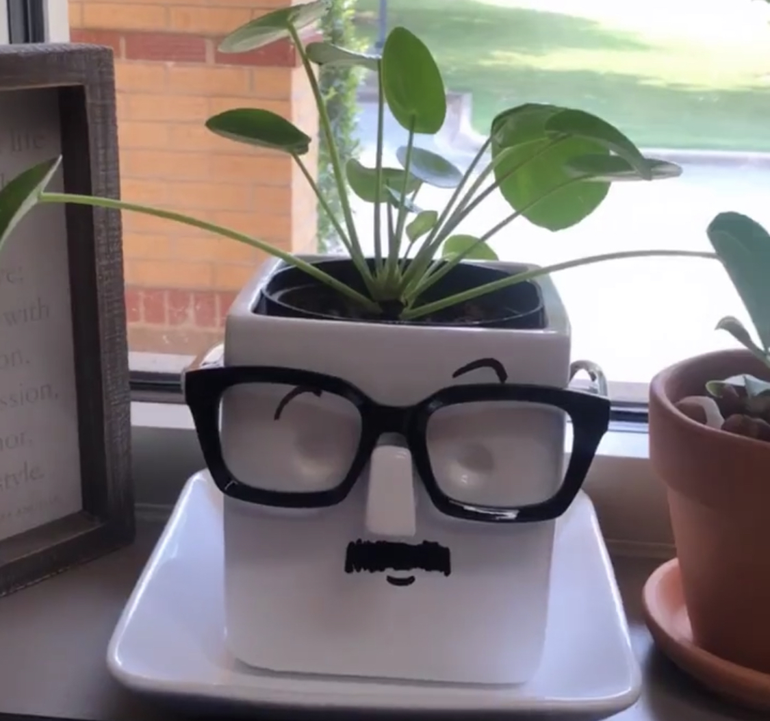 Shopping Guide: Whimsical Face Planter