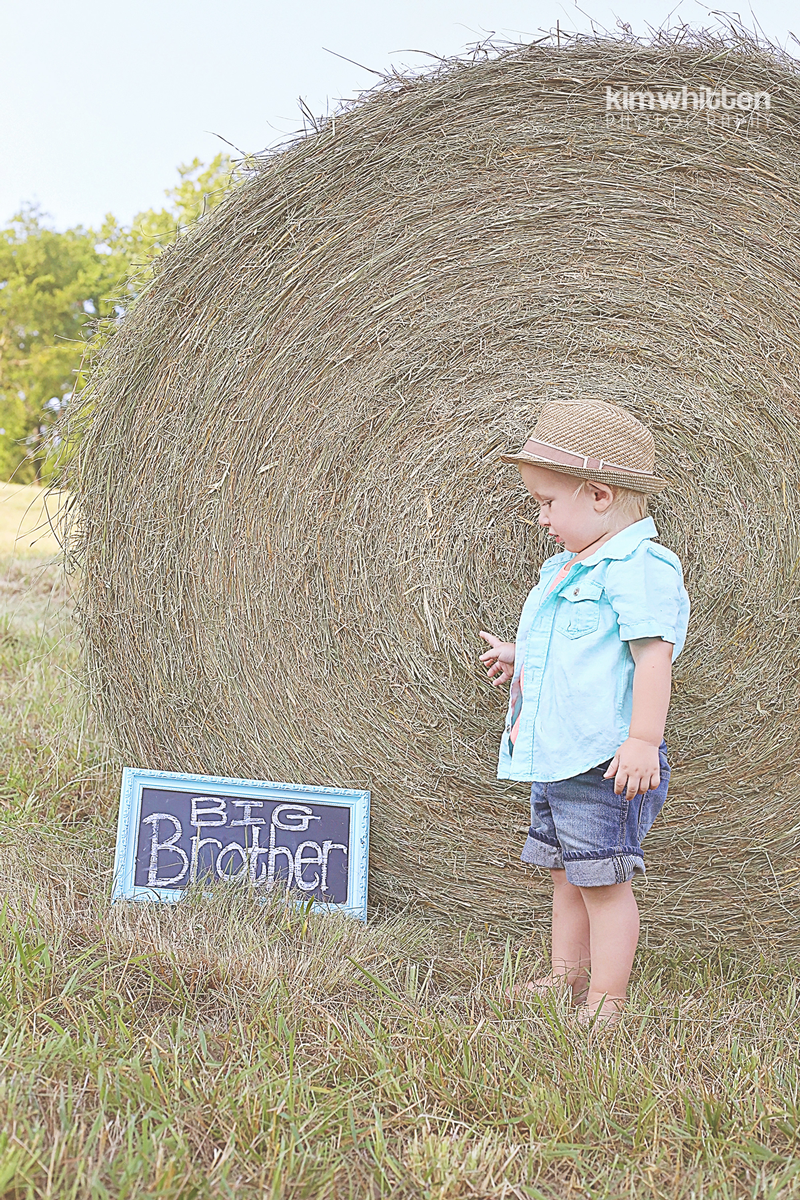 IMG_1959amorninghaze