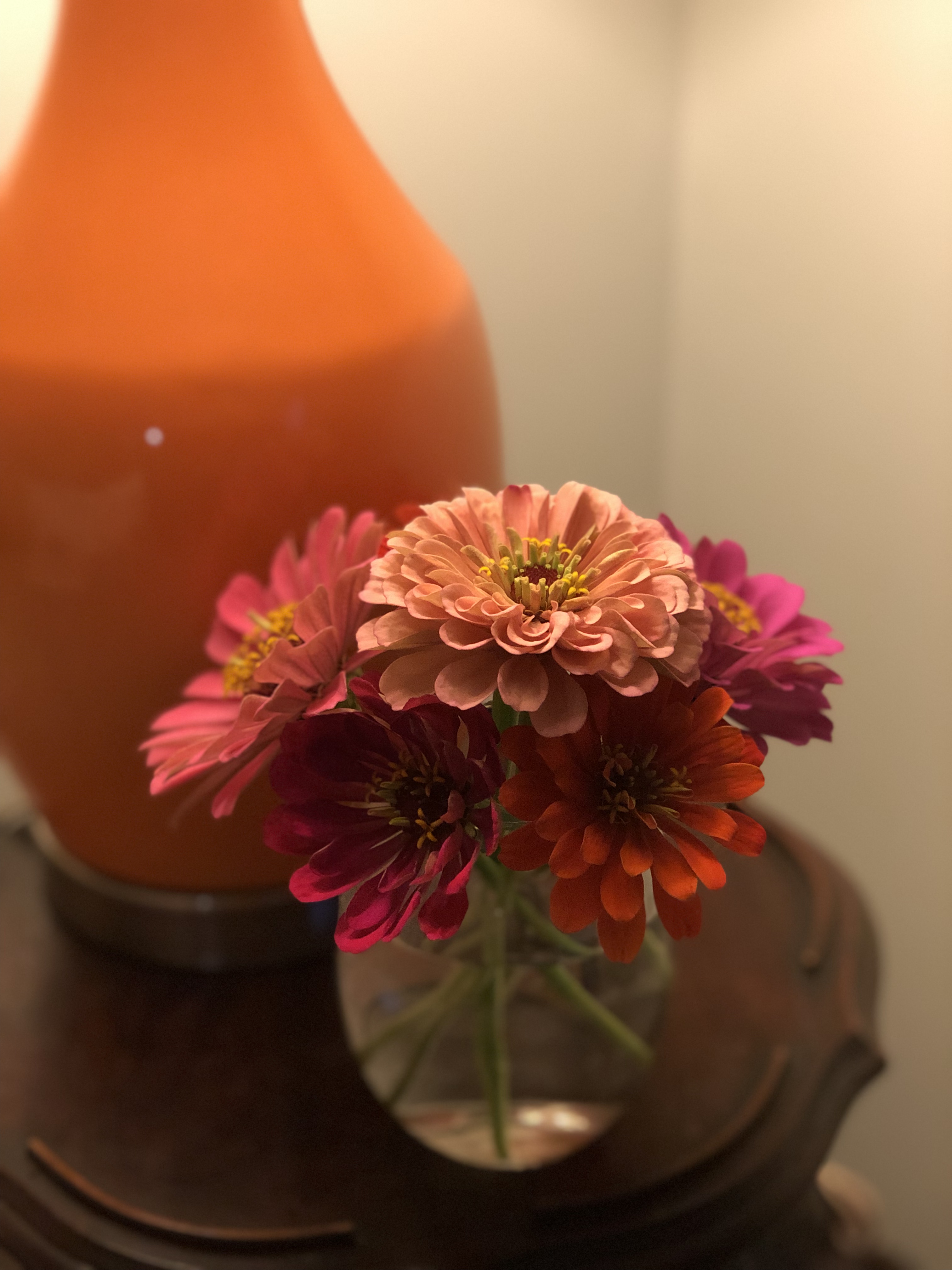 fresh flowers to bring in the sunshine