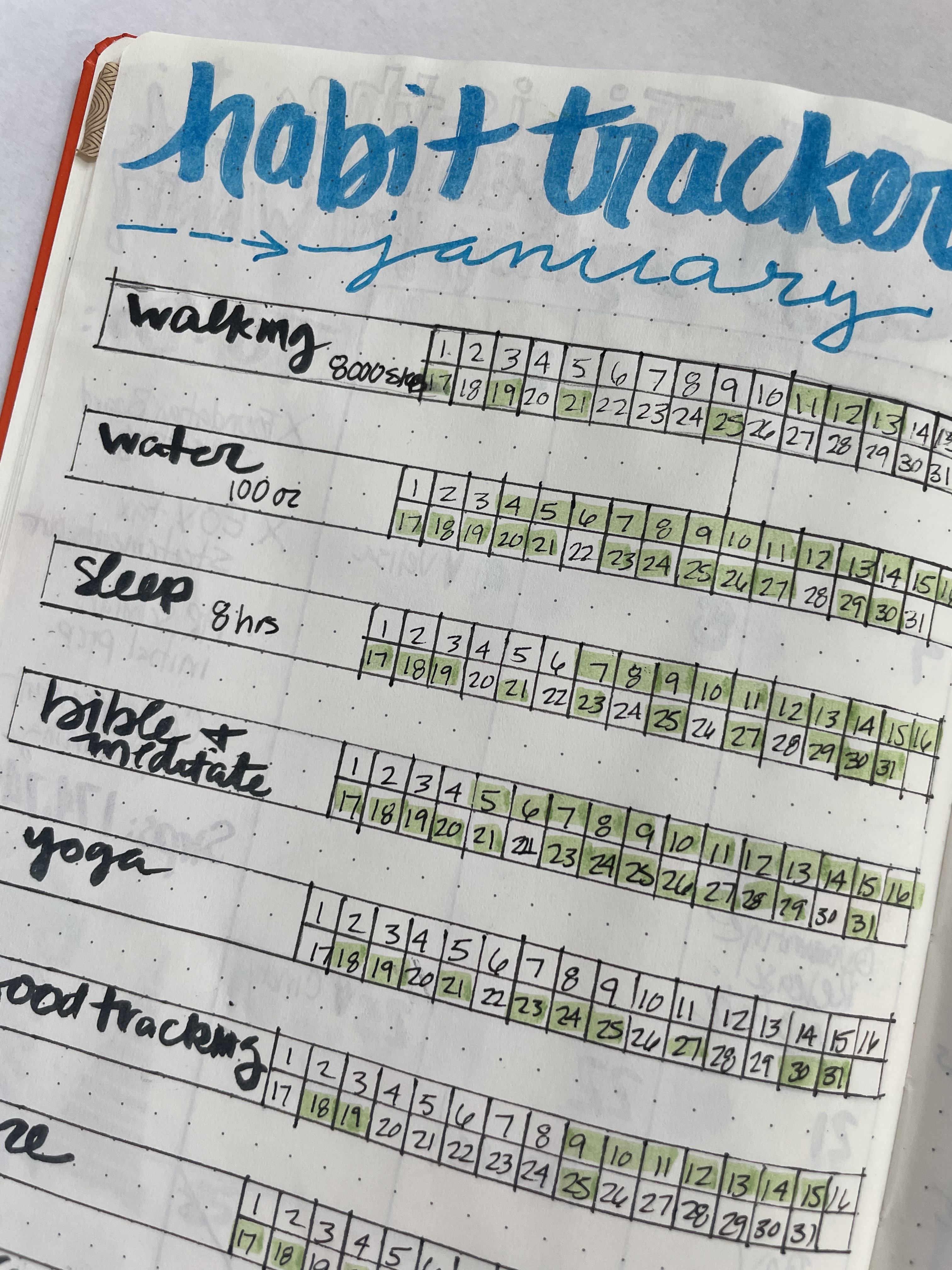 monthly habit tracker