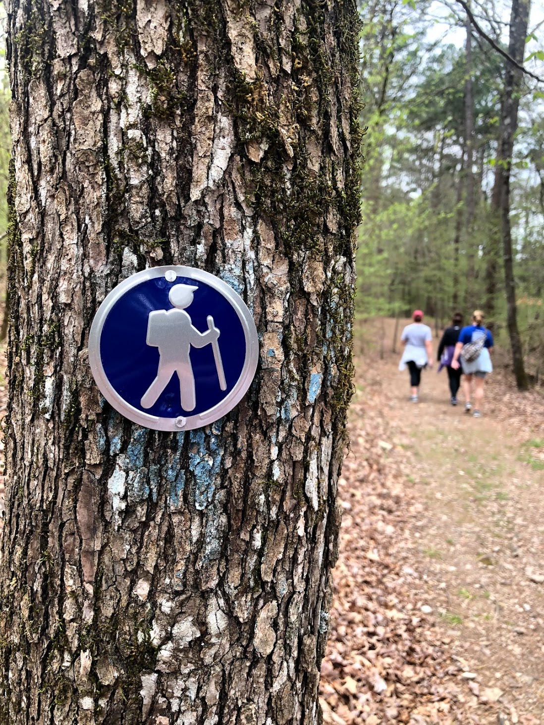 How to create visual Content