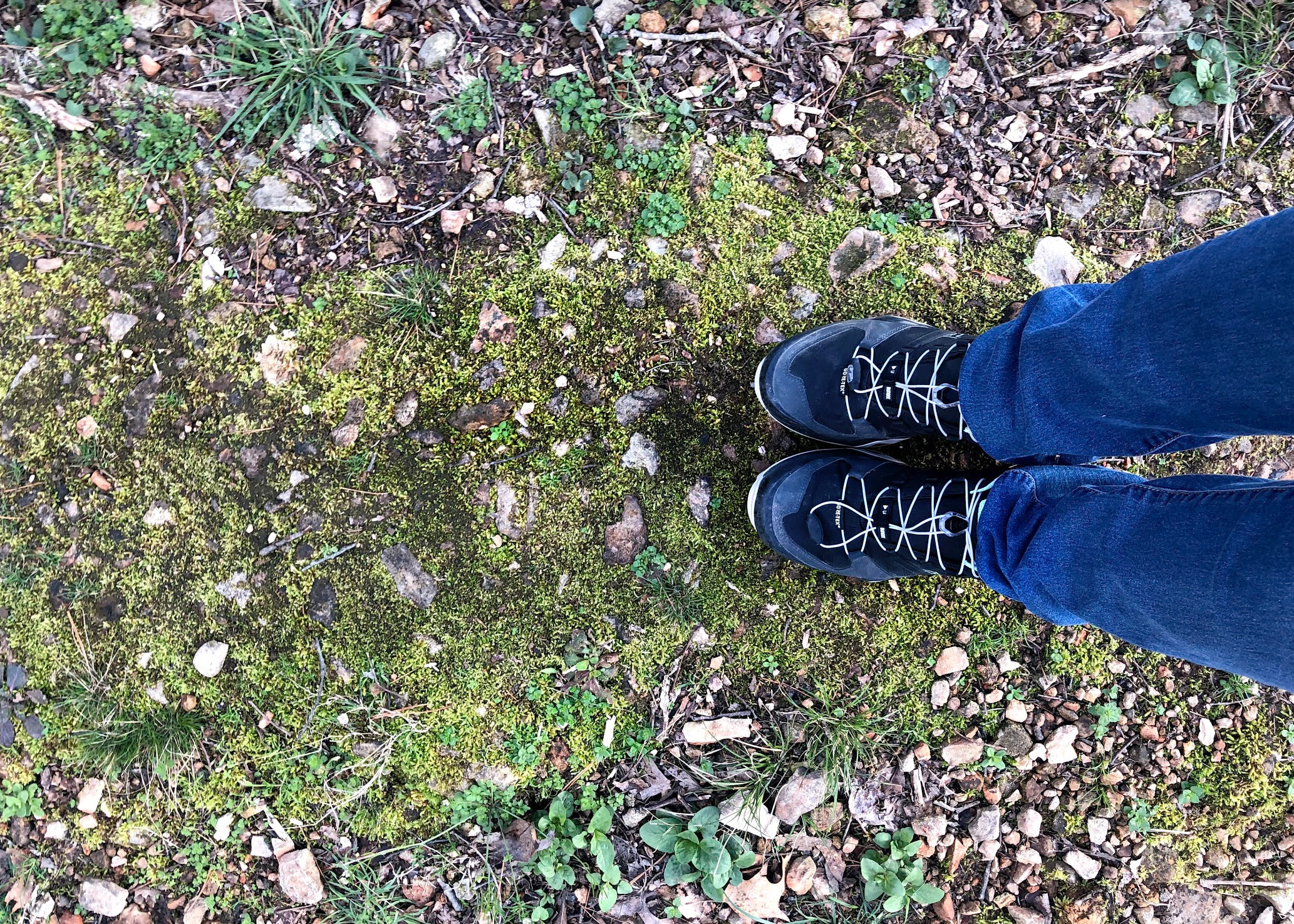 adidas terrex hiking shoes