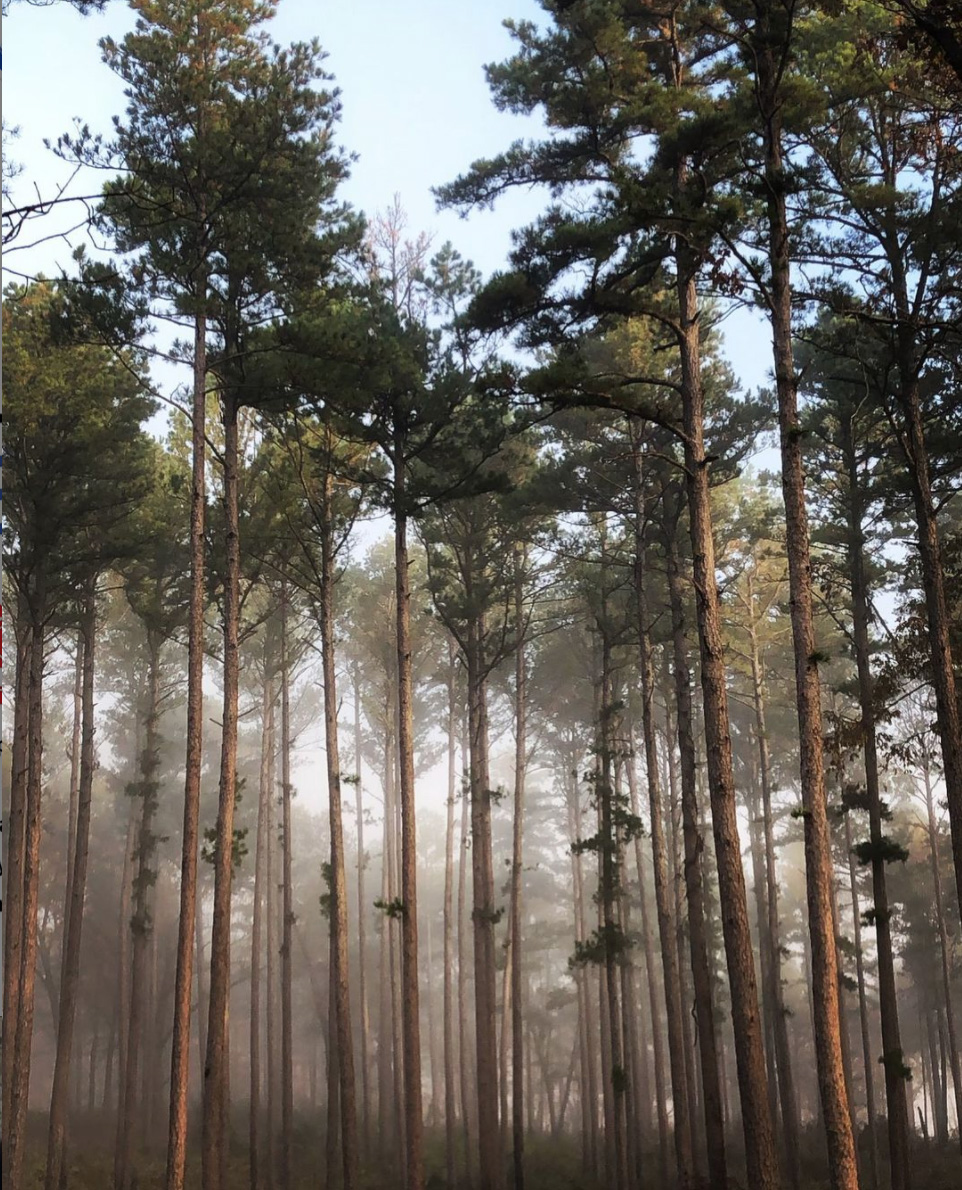 Tips for Taking photos