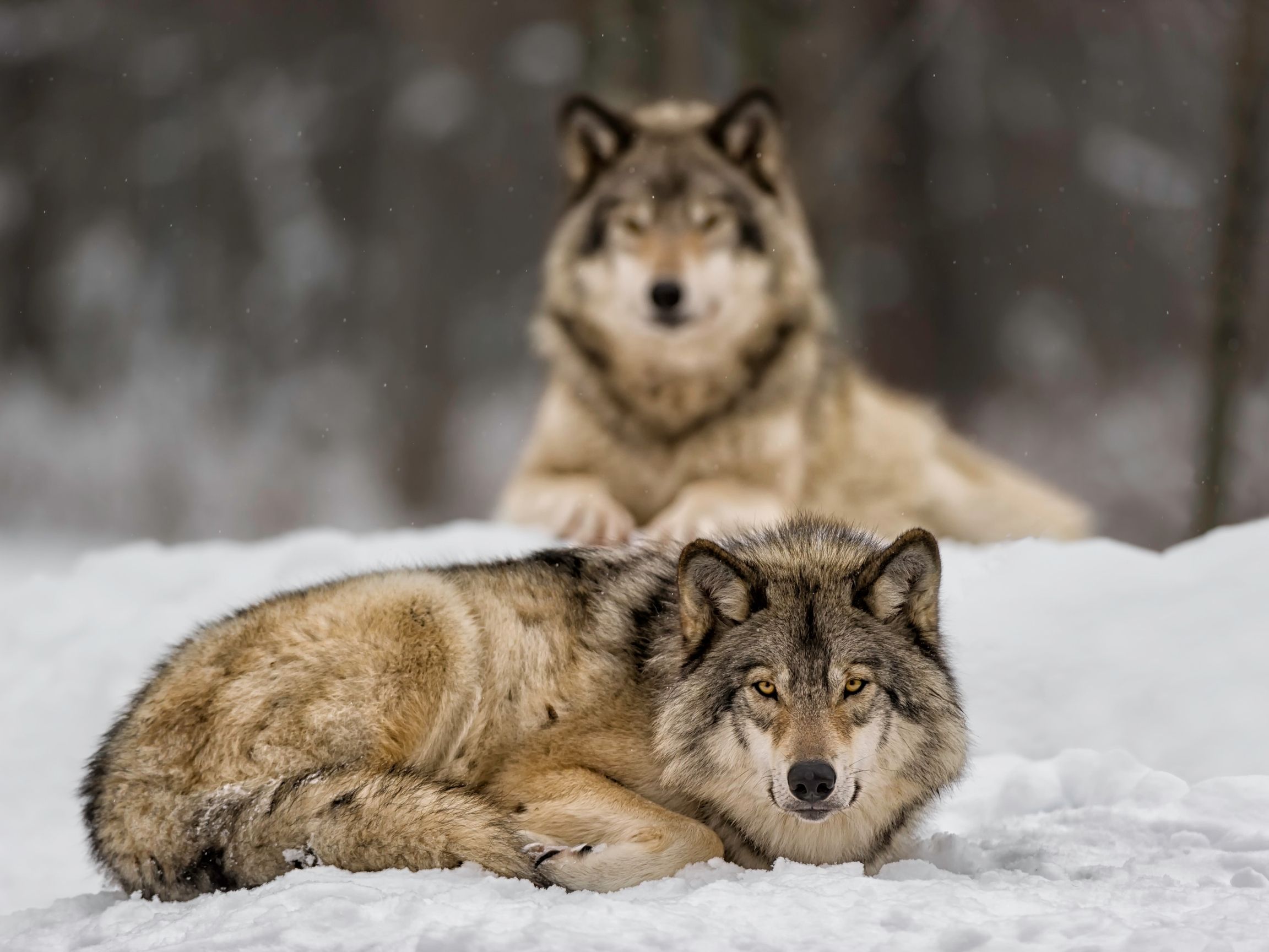 Impactful Advice Shared by Smart Women 