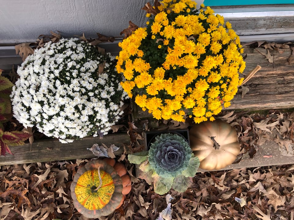 10 Fall Art Journaling Prompts Challenge